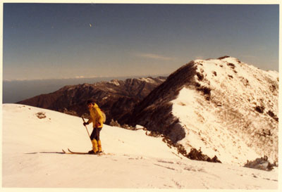 �R�X�L�[�A�R���j