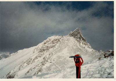 �R�X�L�[�A�R���j