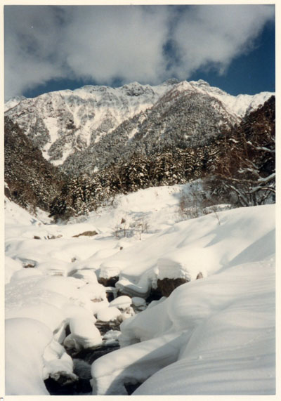 �R�X�L�[�A�R���j