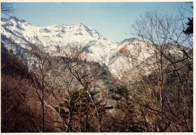 �R�X�L�[�A�R���j