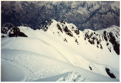 �R�X�L�[�A�R���j