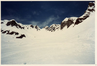 �R�X�L�[�A�R���j