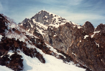 �R�X�L�[�A�R���j