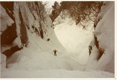 �R�X�L�[�A�R���j