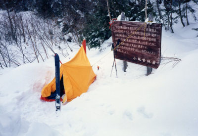 �R�X�L�[�A�R���j