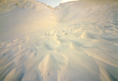 �R�X�L�[�A�R���j