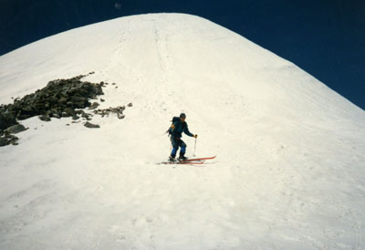 �R�X�L�[�A�R���j