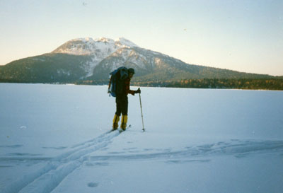 �R�X�L�[�A�R���j