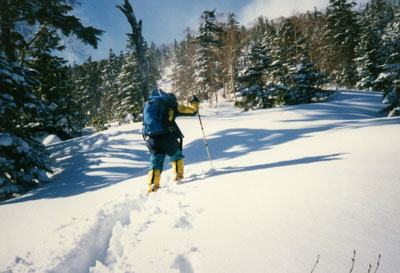 �R�X�L�[�A�R���j