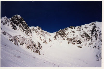 �R�X�L�[�A�R���j