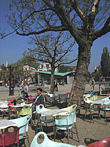 �L��̃J�t�F�摜